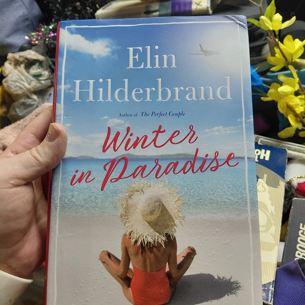 ovel Winter in Paradise by Elin Hilderbrand.